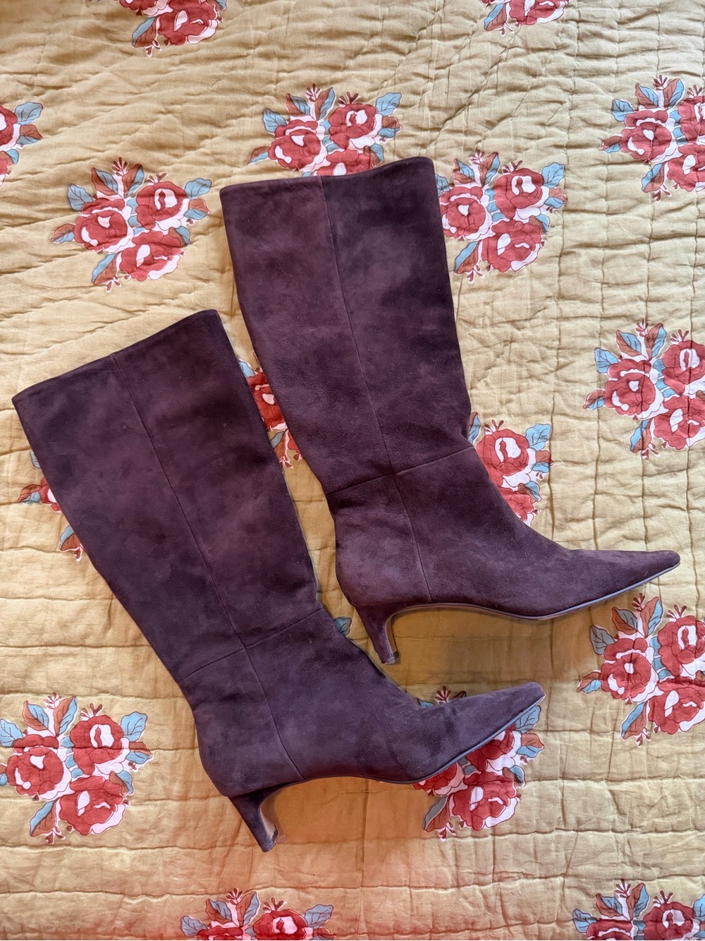 Women's Tall Pointed-Toe Suede Boots in chocolate brown - Steve Madden